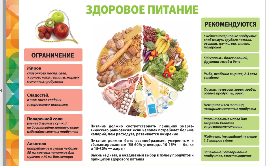 Здоровое питание Скачать (pdf)