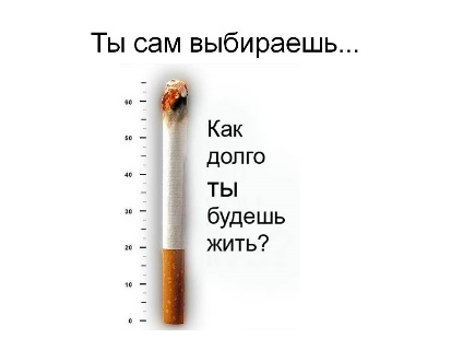 notabak3